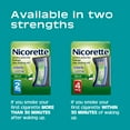 Nicorette Mini Nicotine Lozenges Stop Smoking Aid 2 mg Mint 81 Ct