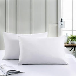 Hypoallergenic pillow case walmart best sale