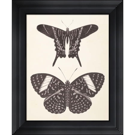 Great Art Now Papillons II Neutral by Wild Apple Portfolio, Framed Wall Art, 15.5W x 18.5H