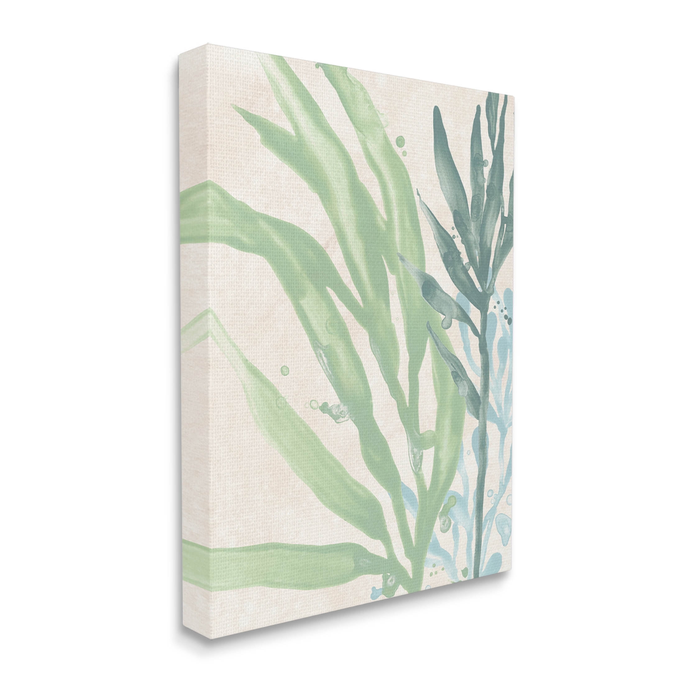 Stupell Industries Flowing Seaweed Underwater Plant Graphic Art Gallery Wrapped Canvas Print Wall Art, Design by June Erica Vess