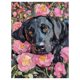 thumbnail image 1 of Cuadro Decorativo Impreso 90x122cm Labrador, 1 of 10