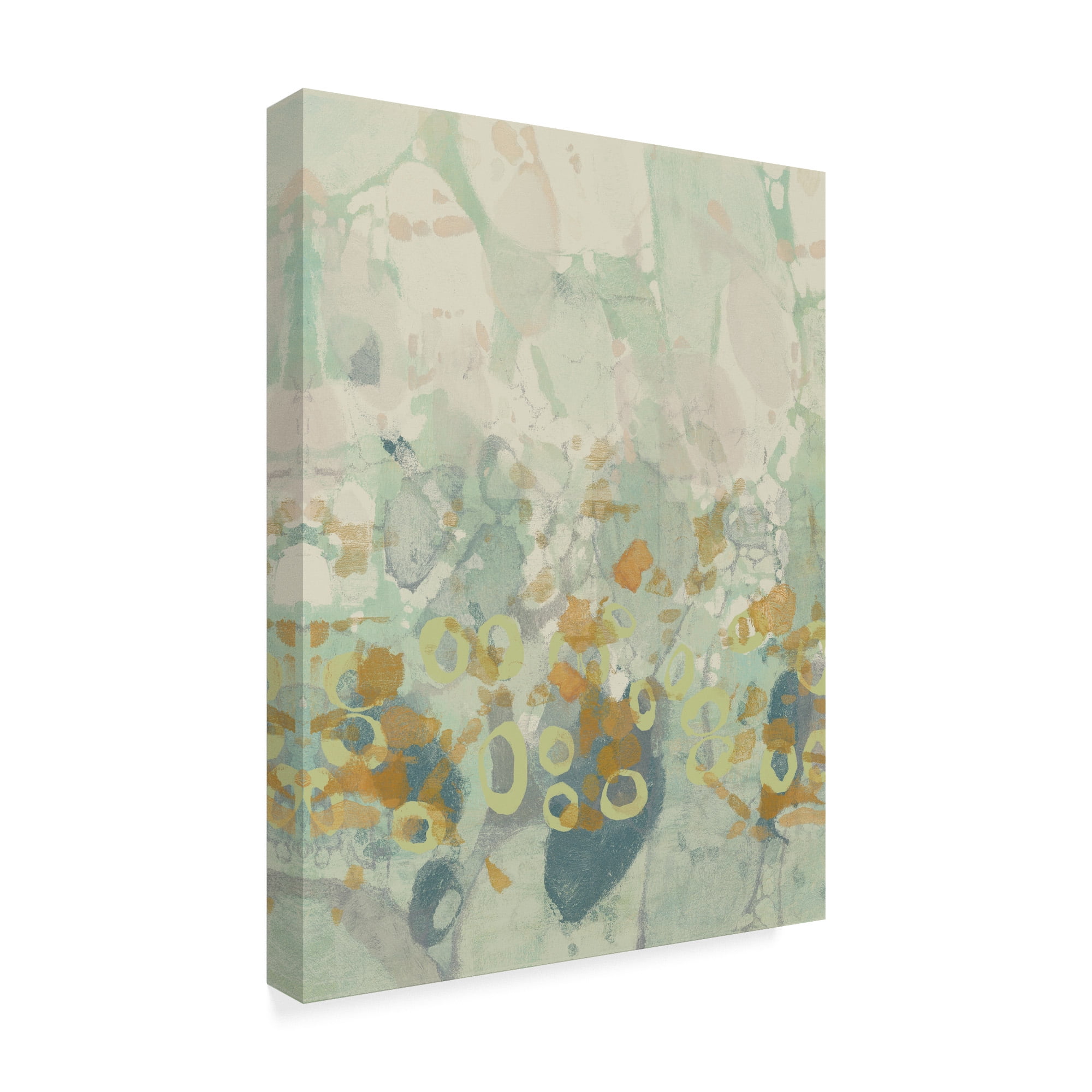 Trademark Fine Art 'Paint Drops II' Canvas Art by Jennifer Goldberger