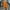 Orange, variant on QUINDOS Women's Casual Pants Taper High Waisted Long Sweatpants Drawstring Loose Pants with Pockets