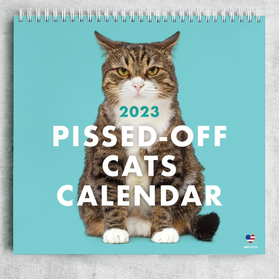Calendar of Angry Cats 2023