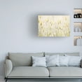 thumbnail image 2 of Canvas Wall Art - Emma Coghlan 'Actaea Simplex' Wall Art for Living Room, Bedroom, or Office Décor by Trademark Fine Art - 19 x 12 Inches, 2 of 4