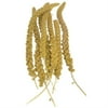 Sunseed Golden Millet Spray Natural Bird Treat