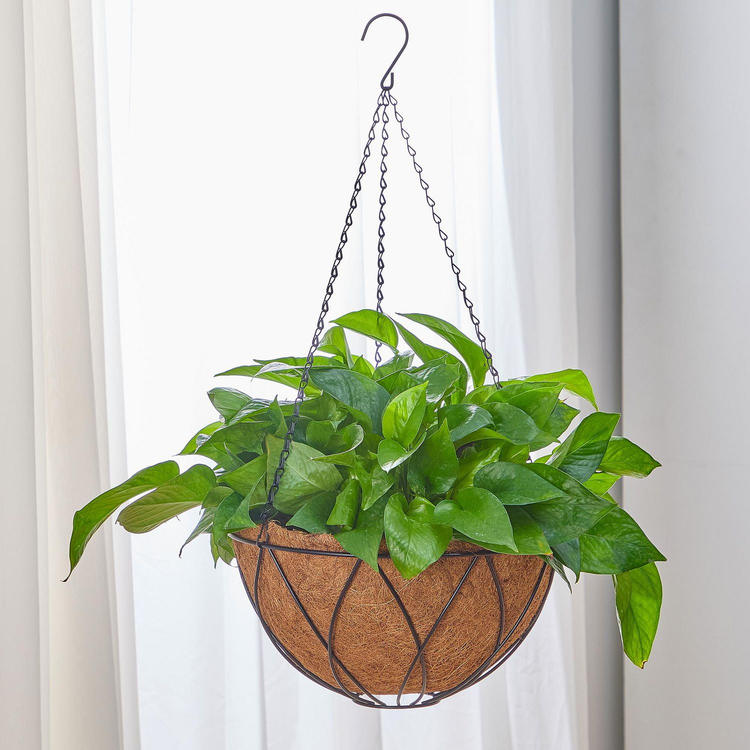 HOME TRENDS 12 IN COCO HANGING BASKET, 12 IN COCO BASKET