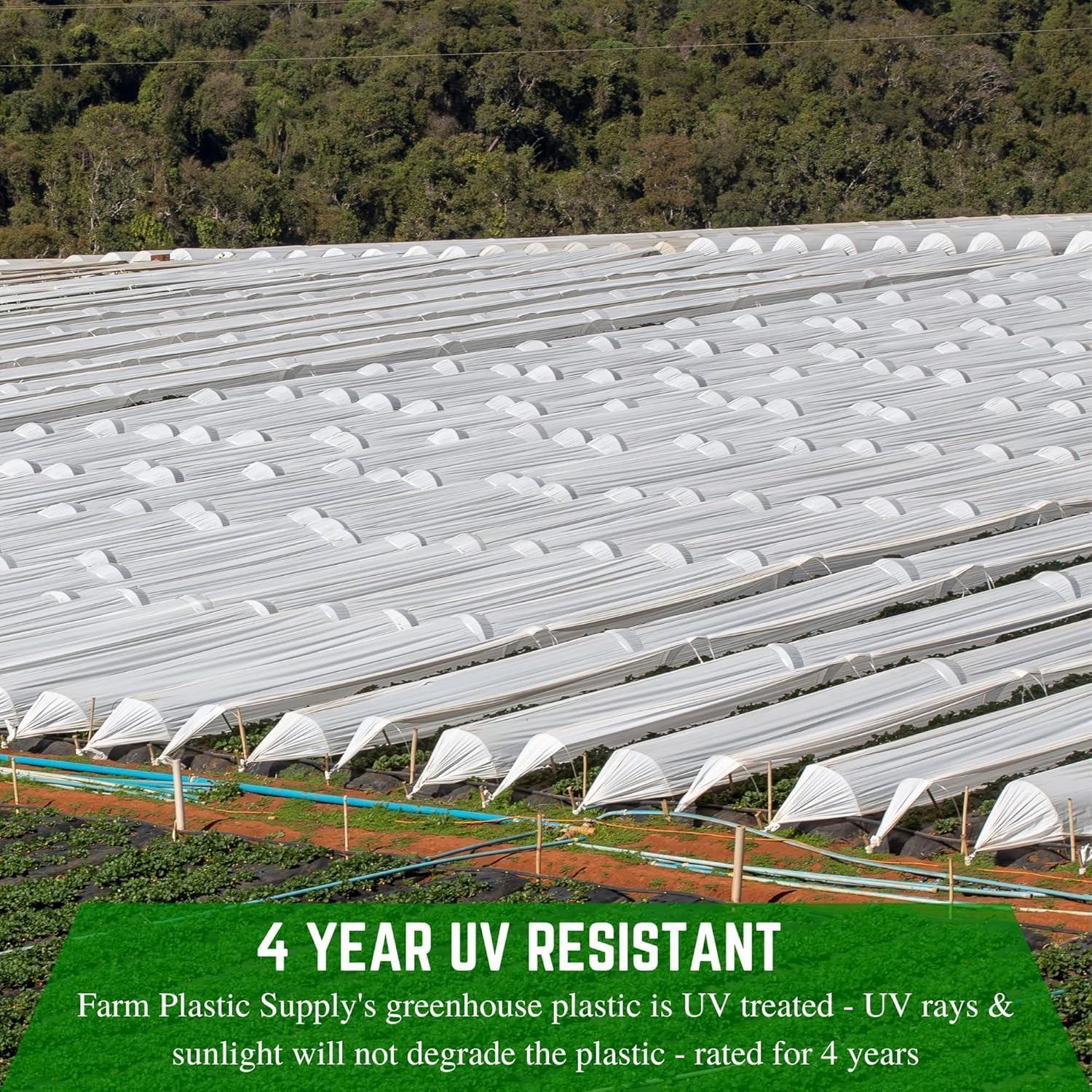 Farm Plastic Supply - String Reinforced 4 Year UV Resistant 10 mil White Greenhouse Plastic Sheeting - 4 Year UV Resistant Polyethylene Greenhouse Film, Hoop House Green House Cover (20' x 40')
