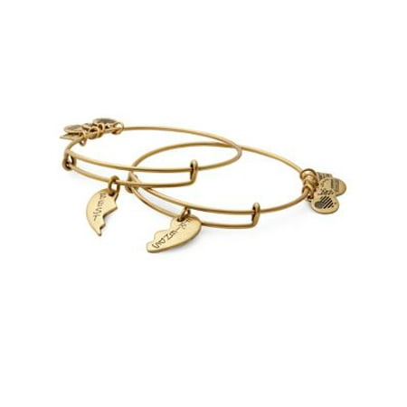 Alex And Ani Best Friends Set Of 2 Charm Bangle Alex And Ani Best Friends Set Of 2 Charm Bangle Bracelets Cbd12bfrg