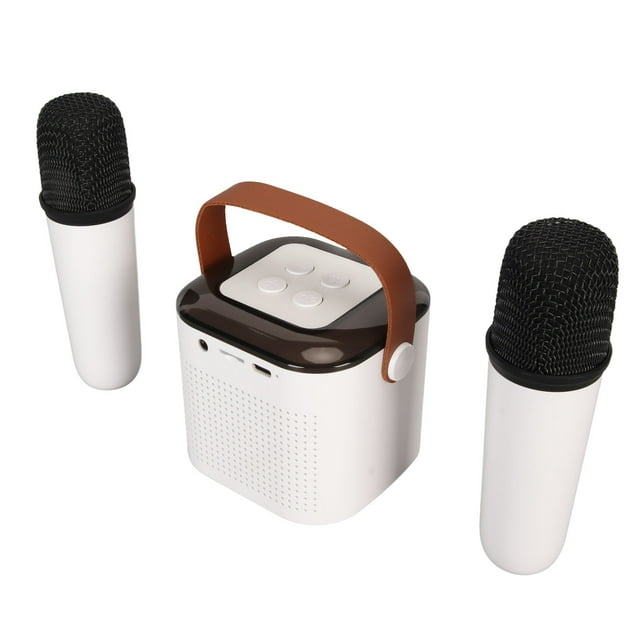 Portable Mini Karaoke Machine Speaker with 2 Microphones, Powerful Stereo for Home Party, RGB Light Effect, Easy to Connect, Exquisite and Fashionable