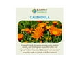 thumbnail image 3 of Earth Elements Organics Gentle Nourishing Organic Calendula Flowers Body Oil Unscented 1 fl oz, 3 of 7