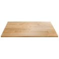 thumbnail image 1 of Gladiator GAAC28HWGX Ready-to-Assemble 28" Hardwood Work Top, 1 of 5