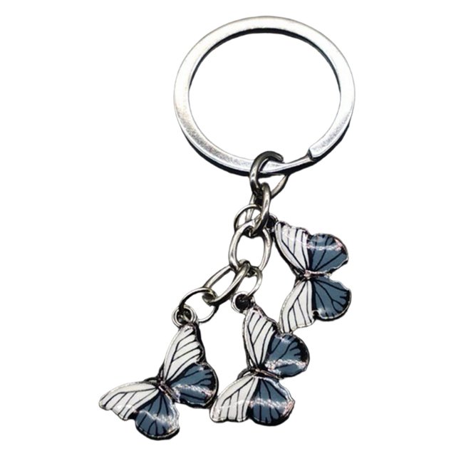 Hearth & Gear Durable Stainless Steel Keychain With Secure Locking Mechanism For Everyday Carry And Organization