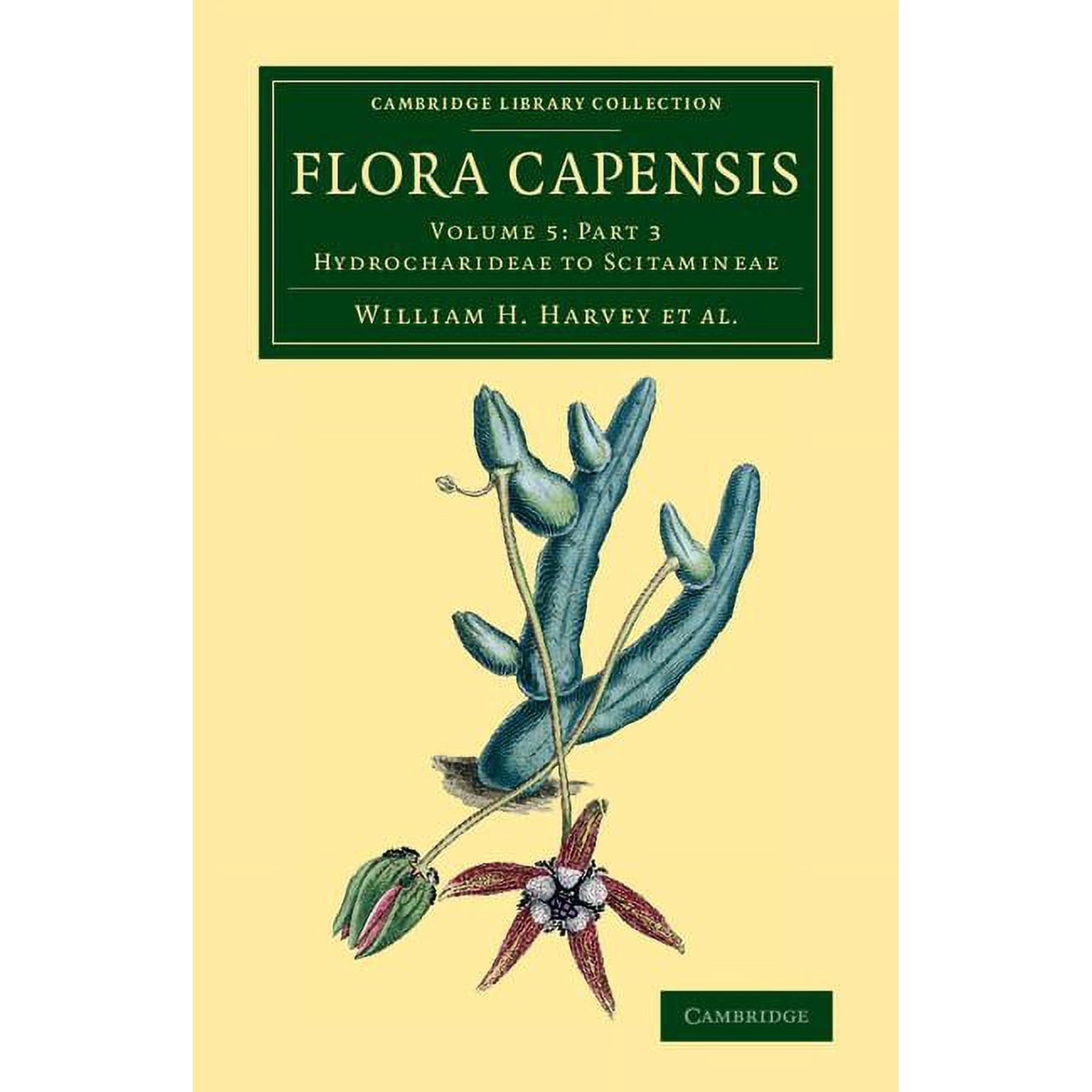 Flora Capensis: Being a Systematic Description of the Plants of the Cape Colony Caffraria and Port Natal and Neighbour (Paperback)