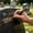 Gold, variant on Tombstone Marker Pen, Waterproof Permanent Touch-Up Pen for Restoring Faded Grave Inscriptions, 10ml Black Paint Pen for Gravestone Memorial Lettering