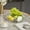 Clear, variant on PiGOGI 9.45 Inch Fruit Platter Candy Snack Serving Plate for Coffee Table Living Room Home