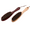 2pcs, variant on Chainplus Clothes Brush, Garment Brush, with Soft Horsehair and Wooden Handle, for Coat Men Suits Shoes Jacket Furniture Car Mat and Pet Hair (1-Pack,Walnut Wood))