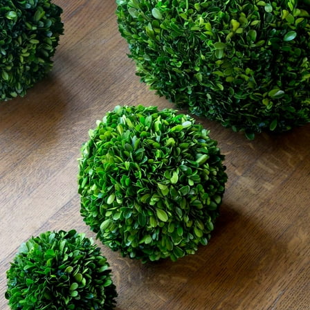 Park Hill Collection Garden Floral Preserved Boxwood Ball 8"