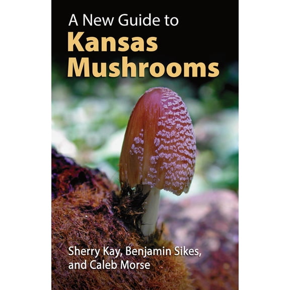 A New Guide to Kansas Mushrooms, (Paperback)