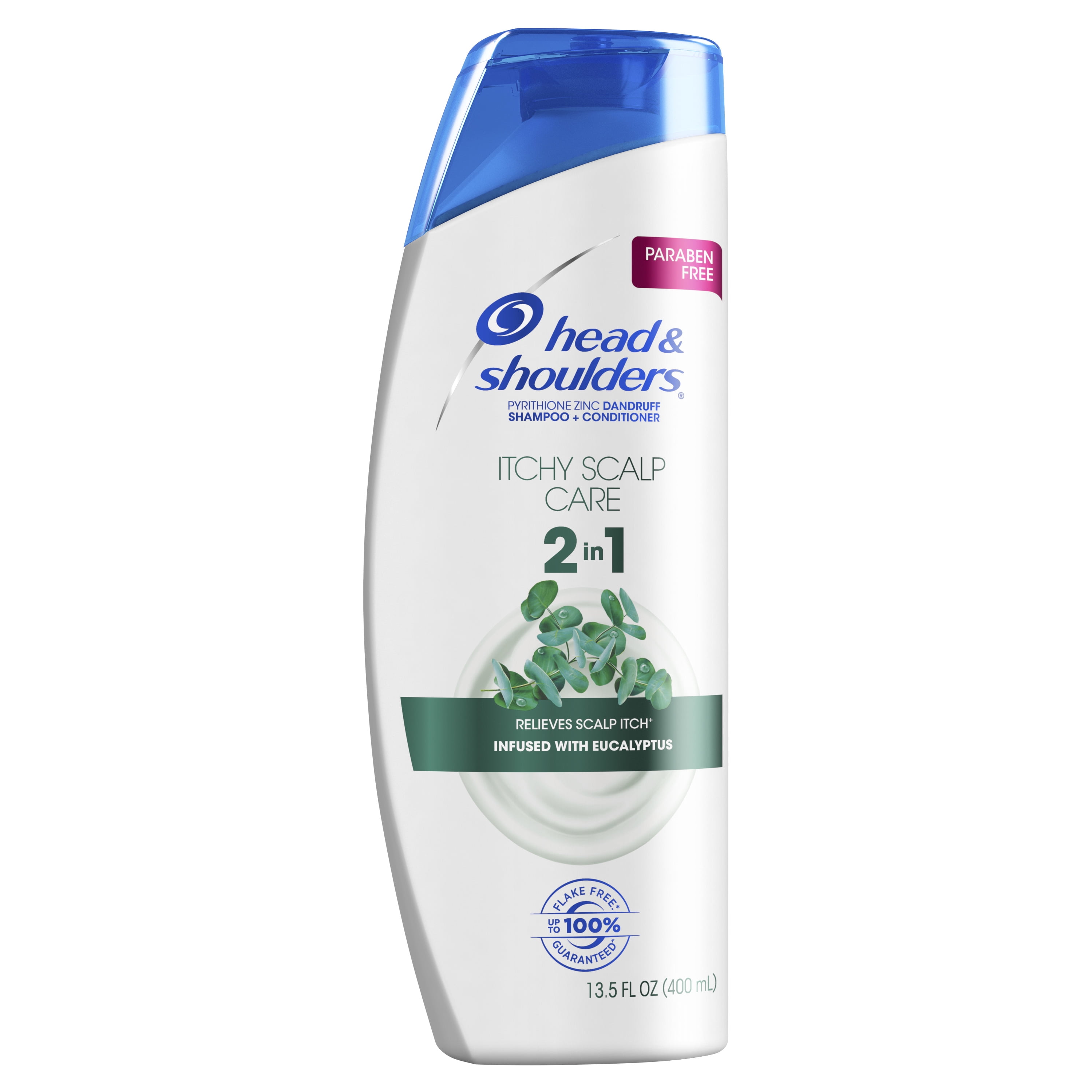 Head and Shoulders 2in1 AntiDandruff Shampoo and Conditioner with
