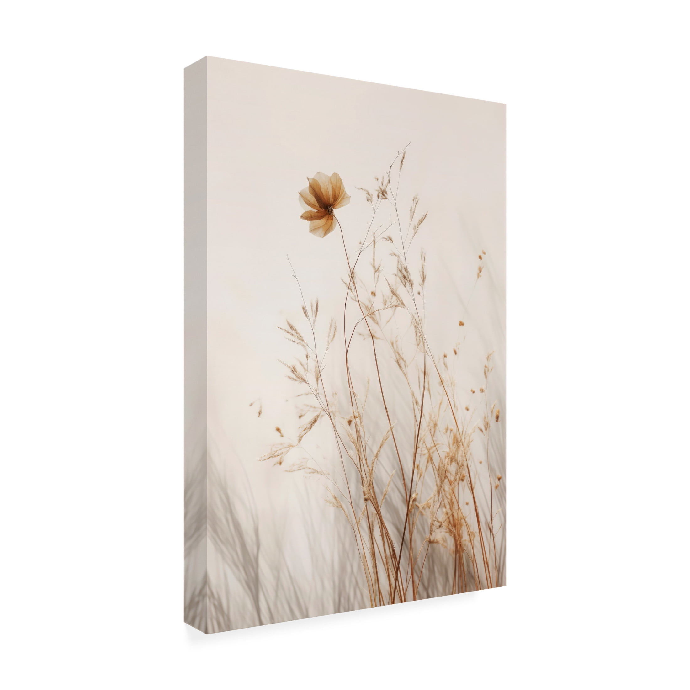 Trademark Fine Art Treechild In Silence Canvas Wall Art