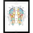 thumbnail image 5 of Art.com Reflexology Foot Map, Artwork Photographic Print by Peter Gardiner, Black Frame Wall Art, 32" x 40", 5 of 5
