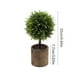 thumbnail image 3 of Artificial Green Plants Simulation Potted Home Office Hotel Lobby Decoration Green Plants Home Decoration Artificial Plants, 3 of 6
