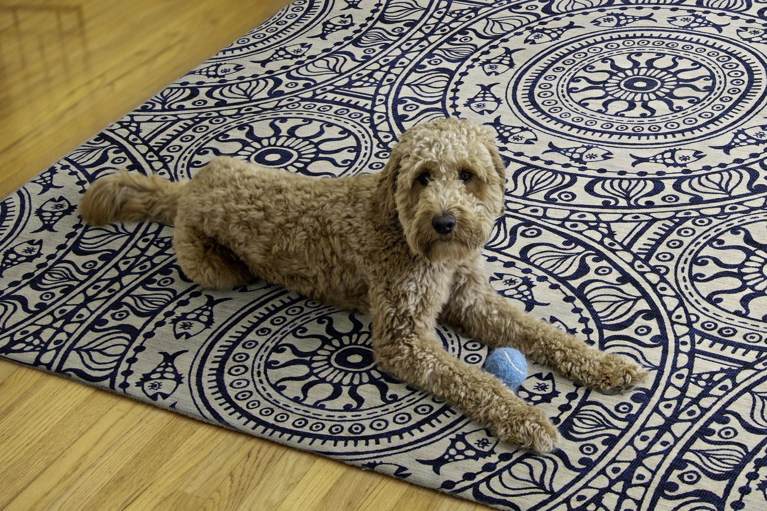 Tapis d'extérieur lavable Ormond ivoire & bleu 5 pi x7 pi