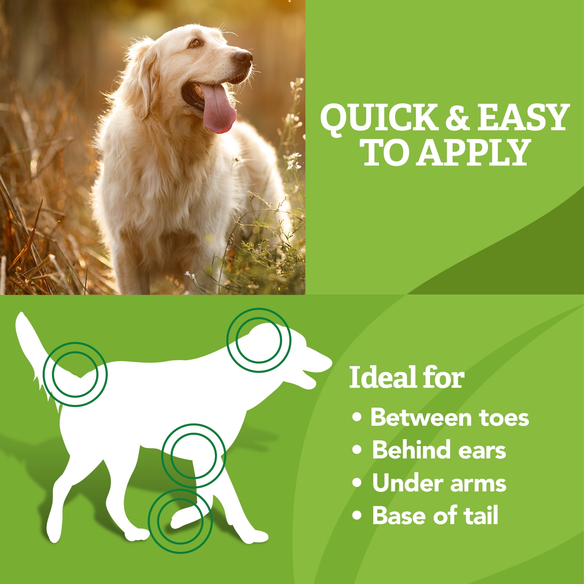 Natural Care Flea & Tick Leave-In Foam for Dogs - 8 Ounces