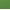 Green Valley, variant on Time and Tru Women's Cotton Side Tie Top, Sizes XS-XXXL