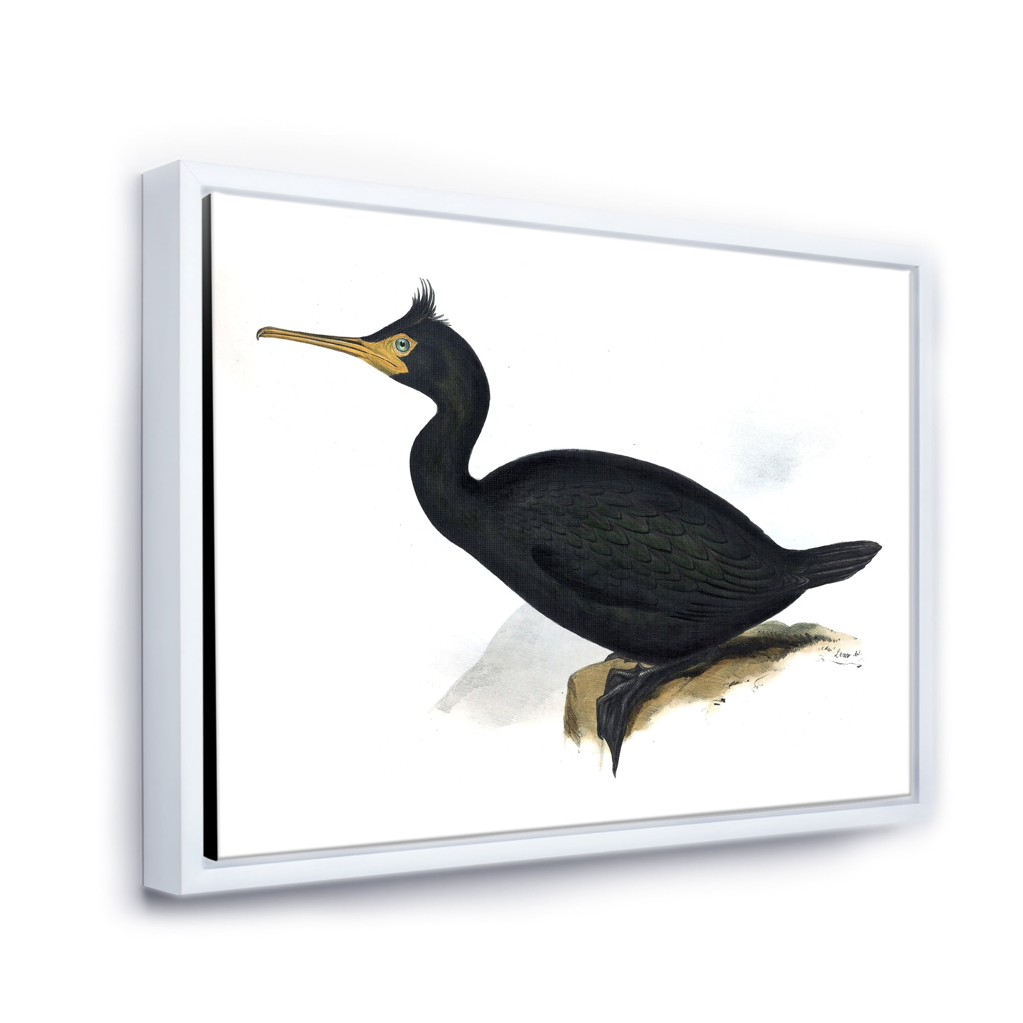 Designart 'Ancient Bird Life IV' Traditional Framed Canvas Wall Art Print