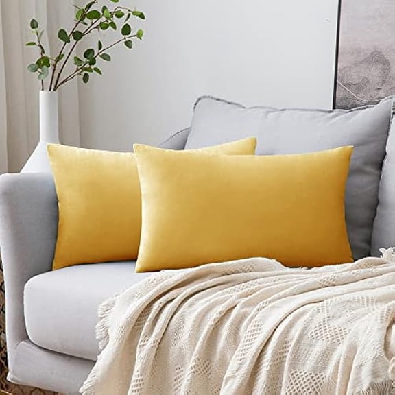 Eryueer Velvet Cushion Covers Soft Decorative Square Throw Pillow Case Pillowcases for Livingroom Sofa Bedroom with Invisible Zipper 12"x20" 30cm x 50cm 2 Pieces Ginger Yellow