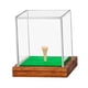 thumbnail image 5 of Caja de exhibición de pelotas de golf de acrílico con soporte para tee, vitrina transparente con base de madera para auriculares, joyería de recuerdo, 5 of 9