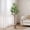 Style 02, variant on Colourtree 59" Artificial Olive Tree with Pot - Faux Silk Leaves & Fruits for Living Room Decor, Indoor Modern Home Decoration - Pot Style 01