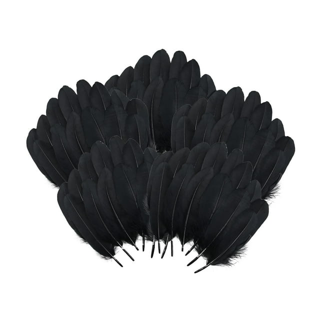 KLKCMS 100Pcs Crafts Feathers Faux Feather for Wedding Arrangements Cosplay Holiday Black