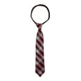 thumbnail image 3 of Spring Notion Big Boys' Cotton Blend Dress Shirt and Tie Set, Red, 3 of 3