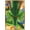 Gold Framed Version, variant on Dragon Ball Z: Cell Saga - Shenron Wall Poster, 22.375" x 34"