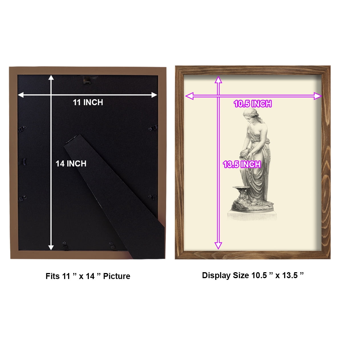 Classical Statuary II -Framed Print w/glass-Walnut