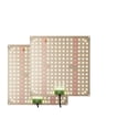 thumbnail image 1 of Full Spectrum LED Grow Light LM281B Diode LED Grow Lamp For Greenhouse Hydroponic Plant Growth Lighting ,Super Long Life, 1 of 7