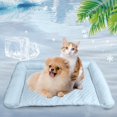 thumbnail image 1 of Fiudx Esterilla de Hielo para Mascotas, Cama Refrescante para Perros En Verano, Tela Suave y Transpirable, Diseño Indeformable, Ideal para Siestas y Descanso, Perfecta para Perros y Gatos, Fácil de L, 1 of 5