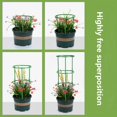 thumbnail image 4 of Support de Plante Réglable pour Tomate avec Piquets pour Plantes en Pot, 1 Ensemble, 4 of 6
