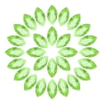 thumbnail image 1 of Uxcell 100Pcs Horse Eye Shape Rhinestones Glass Point Back Beads for Jewelry Making, Green Yellow 6x12mm, 1 of 6