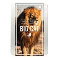thumbnail image 2 of Gift Republic: Adopt a Big Cat, 2 of 10