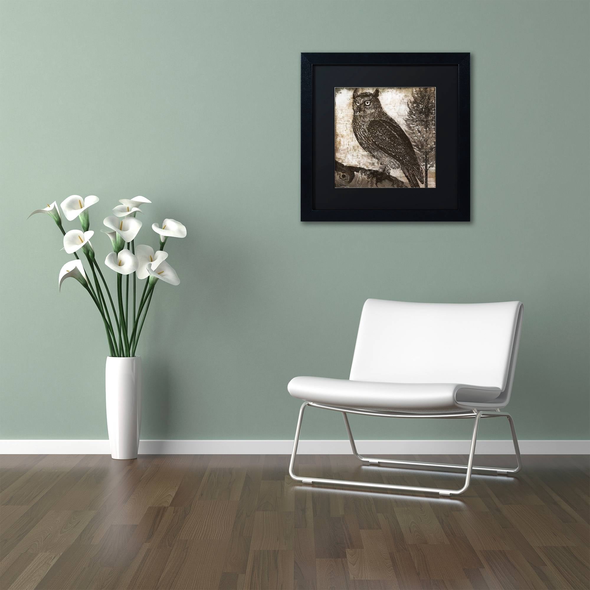 Trademark Fine Art "Owl 2" Canvas Art by Color Bakery Black Matte, Black Frame