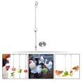 thumbnail image 3 of unbranded Alimentador Suspendido Para Pollos Y Loros Con Estructura Duradera De Inoxidable, 3 of 8