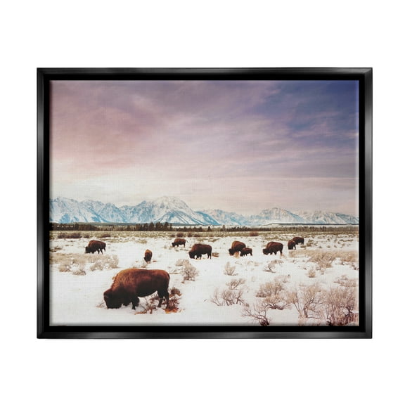 Stupell Industries Bison Desert Mountains Scene Animals & Insects Photography Black Floater Framed Art Print Wall Art, 21 x 17