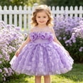 thumbnail image 2 of HJYCHN Girls Dresses Spaghetti Strap Mesh Party Dress with 3D Floral Accents and Puffy Skirt for Toddler Dress 6-9 Months, 2 of 9