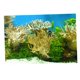 thumbnail image 4 of Fondo de Acuario 3D Yuyangstore Paisaje de Pecera Hierba, 4 of 8