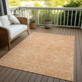 thumbnail image 6 of Addison Rugs Chantille Indoor/Outdoor Traditional Panel Salmon Washable Rectangle Rug, 5' x 7'6", 6 of 6