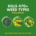 thumbnail image 3 of Spectracide Weed Stop for Lawns Plus Crabgrass Killer Concentrate, 40 oz, 3 of 9